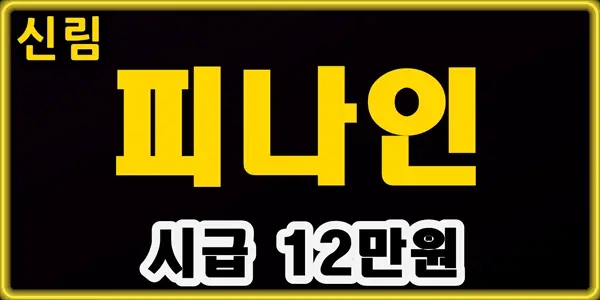 피나인 대표 이미지